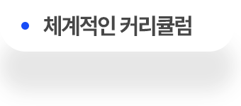 체계적인 커리큘럼