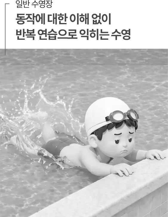 일반 수영장